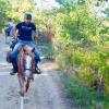 Florian Hornig reitet auf einem Pferd durch die Provence