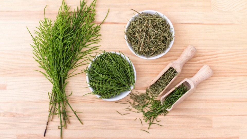 Ackerschachtelhalm ist reich an Silizium und kann eine Bereicherung in unserer Ernährung sein Ackerschachtelhalm ist in Schüsseln und auf Löffeln