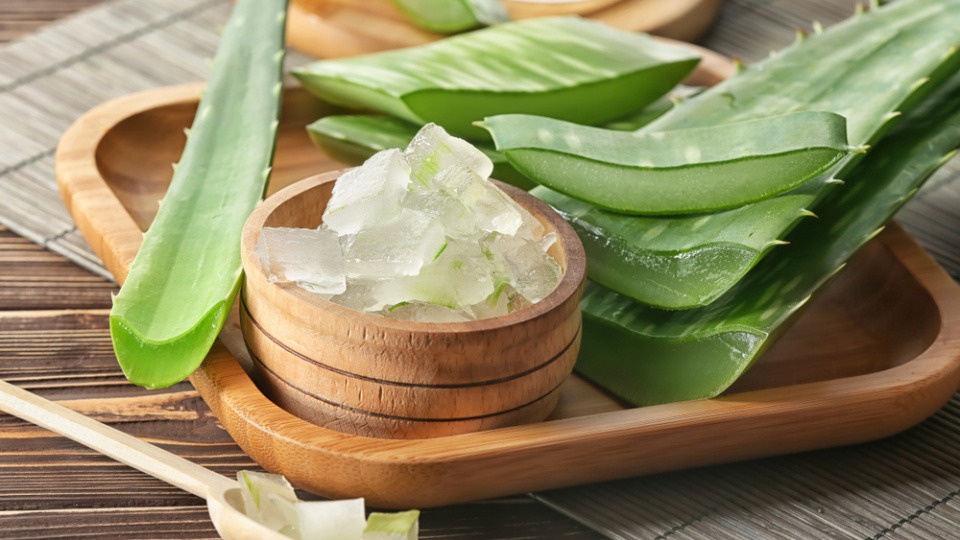 Mit Aloe Vera Gel kannst du die epilierte Stelle beruhigen Aloe Vera und Aloe Vera Gel