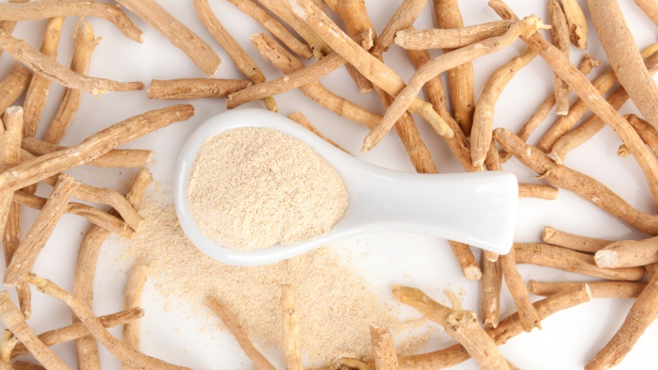 Wurzeln und Pulver der Ashwagandha Wurzeln und Pulver der Ashwagandha