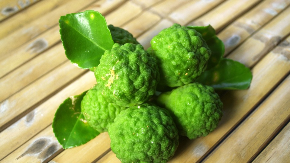 Bergamotte kann in Zeiten der Trauer unterstützend sein. Einige Blätter Bergamotte