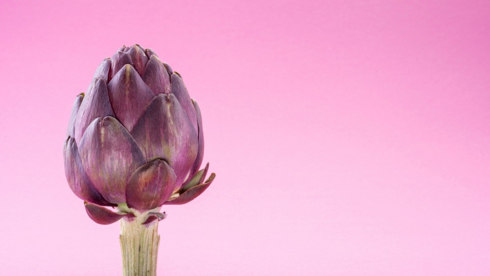 Bitterstoffe, die in Artischocken reichlich vorhanden sind, können sich positiv auf die Verdauung auswirken. Artischocke mit Bitterstoffen