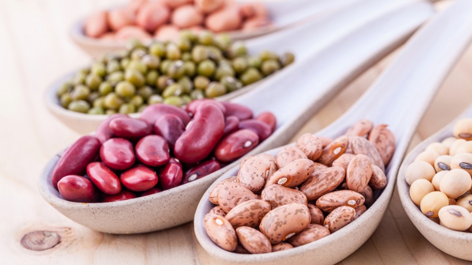 Bohnen helfen bei Gelenksschmerzen Verschiedene Bohnen in Schüsseln