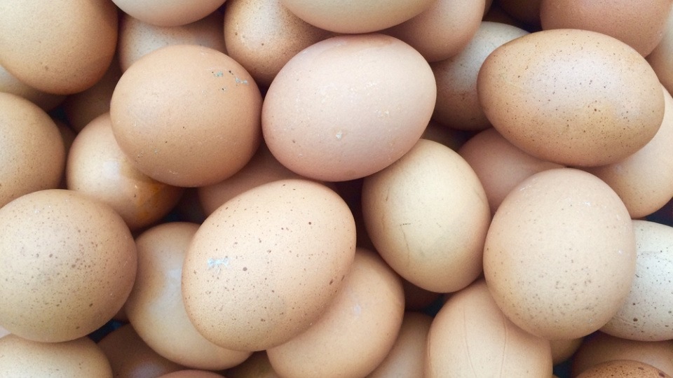 Unteranderem eine natürliche Quelle von MSM Viele Eier liegen aufeinander