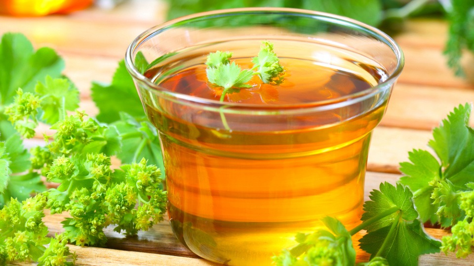 Frauenmantel kann bei PMS hilfreich sein Frauenmantel neben einer Tasse Tee