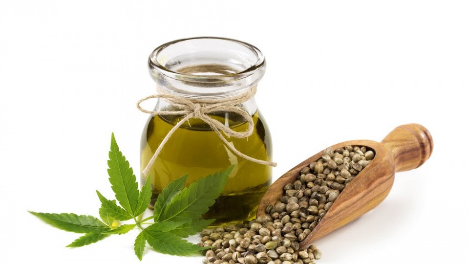 In einem Gefäß ist Hanföl, daneben in einer Schaufel Hanfsamen In einem Gefäß ist Hanföl, daneben in einer Schaufel Hanfsamen