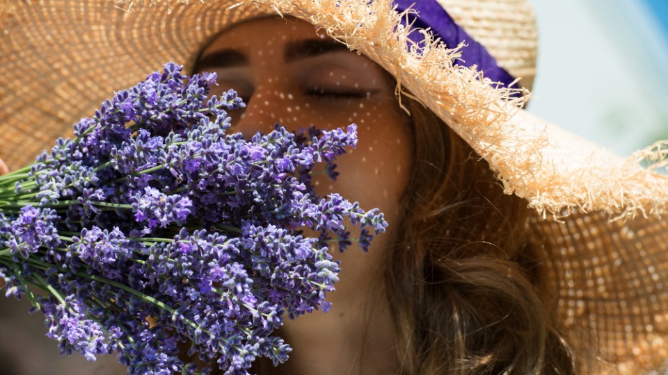 Lavendel ist ein Tausendsassa. Das ätherische Öl kann sowohl beruhigen, als auch Kopfschmerzen lindern aber auch bei kleinen Wunden behilflich sein. Frau riecht an Lavendel