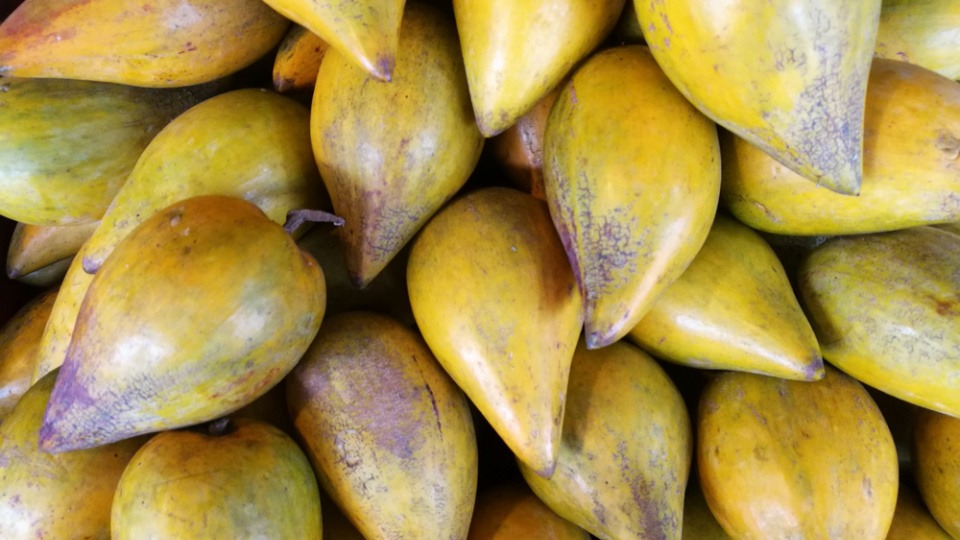 Lucuma hat einen niedrigen glykämischen Index und kann als Zuckerersatz verwendet werden viele Lucumafrüchte