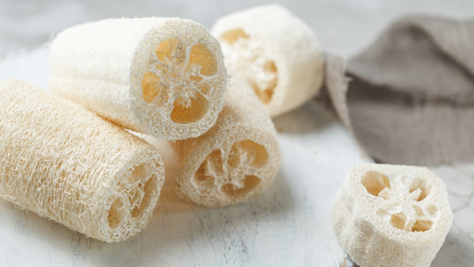 Mit einem Luffa Schwann kannst du deinen Intimbereich sanft bearbeiten, um Pickeln vorzubeugen Luffa Schwamm