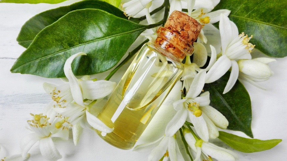 Neroliöl wirkt beruhigend und angstlösend Neroliöl für Raumbeduftung