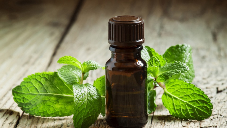 Man kann auch andere Öle wie zum Beispiel Pfefferminzöl untermischen Eine kleine Flasche Pfefferminzöl