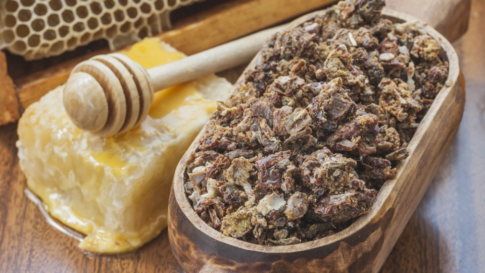 Propolis enthält viele positive Eigenschaften. Allergische Reaktionen sind jedoch nicht ausgeschlossen Propolis liegt in einer Schüssel neben Honig