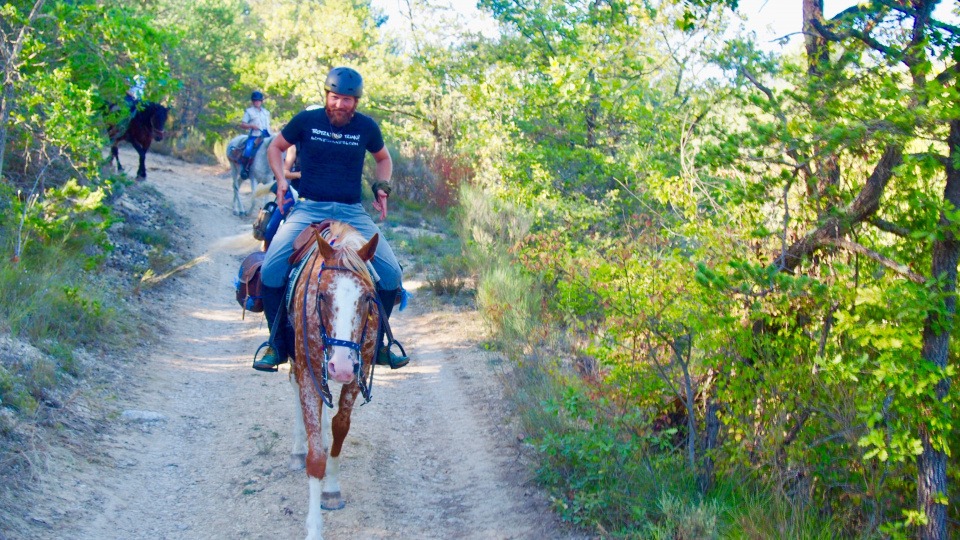 Florian Hornig reitet auf einem Pferd durch die Provence Florian Hornig reitet auf einem Pferd durch die Provence