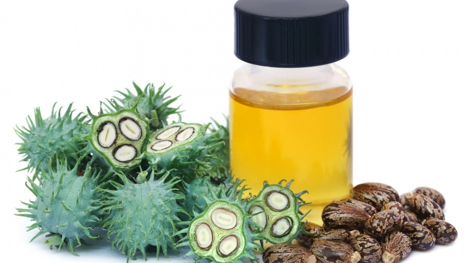 Ein Fläschchen mit Rizinusöl liegt neben Riziniusfrüchten Ein Fläschchen mit Rizinusöl liegt neben Riziniusfrüchten