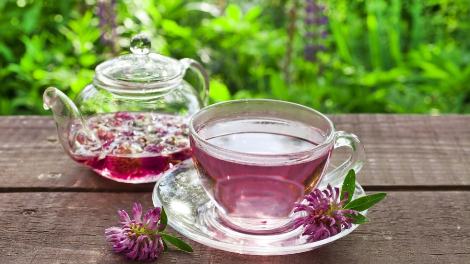 Rotkleetee wirkt kühlend und ausgleichend und kann den Wasserhaushalt des Körpers bei der Regulation unterstützen Rotkleetee und Blüten von Rotklee