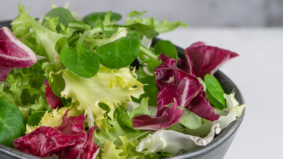 Radicchio, Rucola und Chicoree sind nur einige der bitteren Salate Verschiedene Salate mit Bitterstoffen sind in einer Schüssel