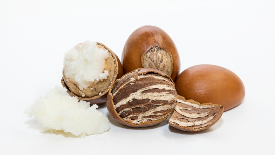 Ganze Nüsse der Sheabutter liegen neben geschälten Ganze Nüsse der Sheabutter liegen neben geschälten