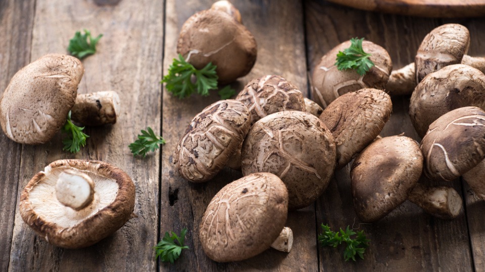 Shiitake PIlze enthalten viel Vitamin D2 Shiitake Pilze liegen auf einem Tisch