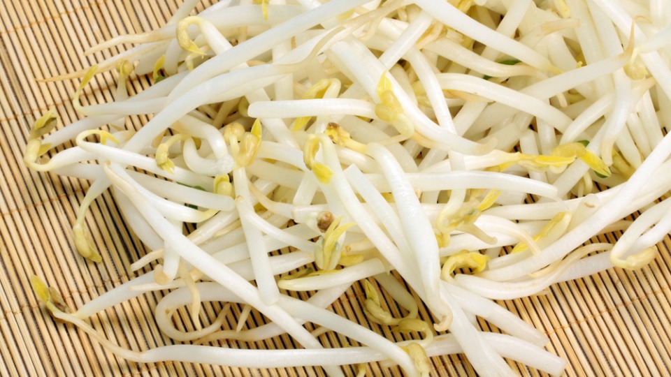 Sojasprossen gehören zu den enzymreichen Lebensmitteln Enzymreiches Lebensmittel Sojasprossen