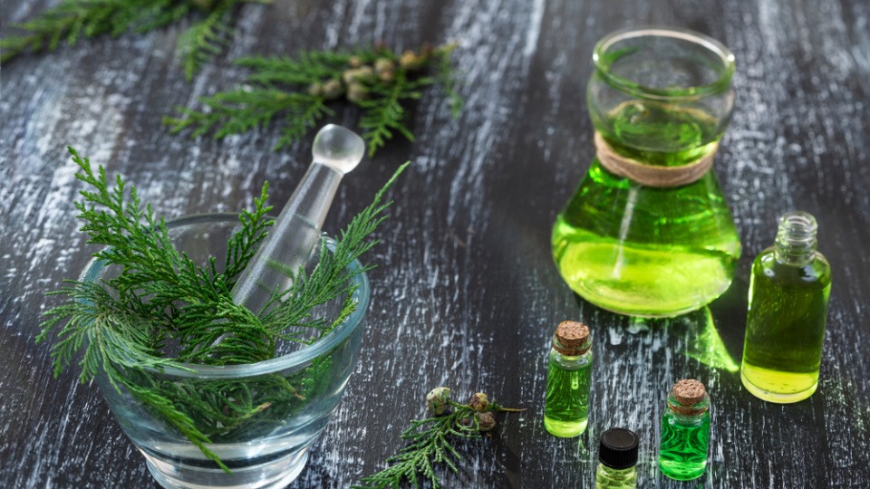 Auch Zypresse kann bei Hitzewallungen in den Wechseljahren hilfreich sein Zypresse und Kännchen mit Öl