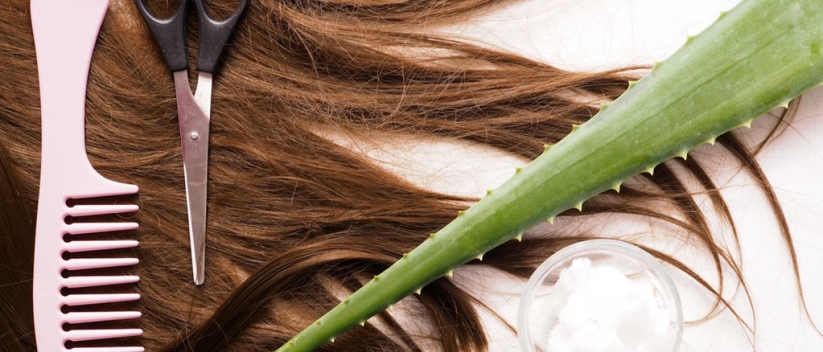 Kamm und Schere liegen auf Haaren, daneben ein Blatt Aloe Vera und Kokosfett in einem Glas