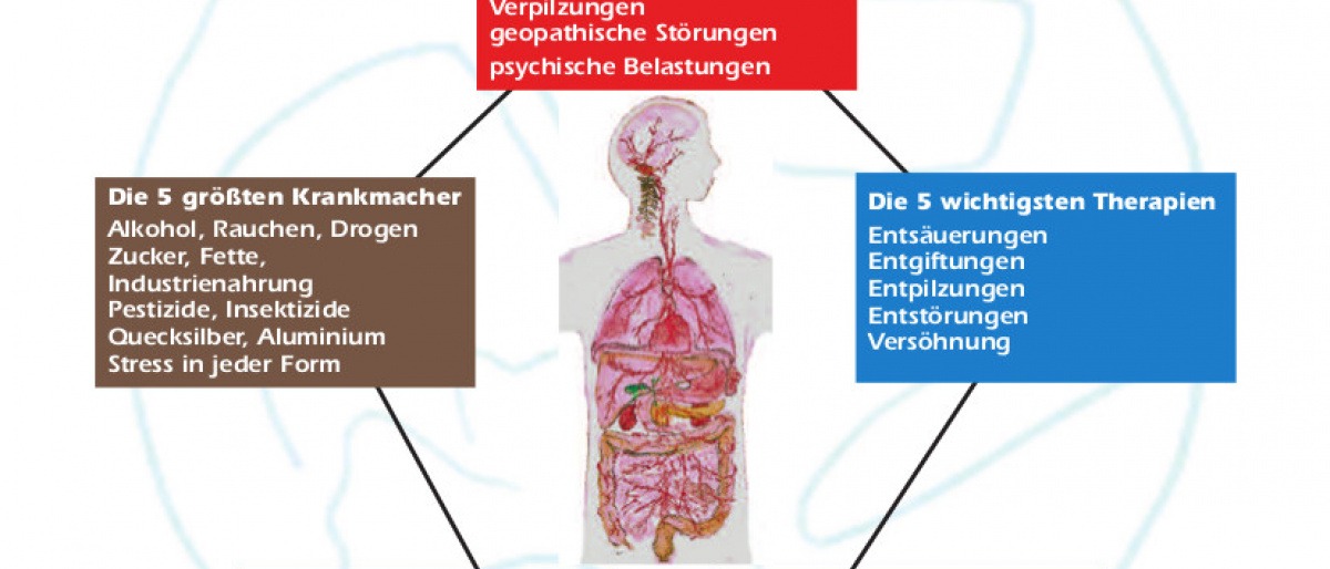 Auf einer Grafik sind die 5 Quellen der Erkenntnisse zu Parkinson 