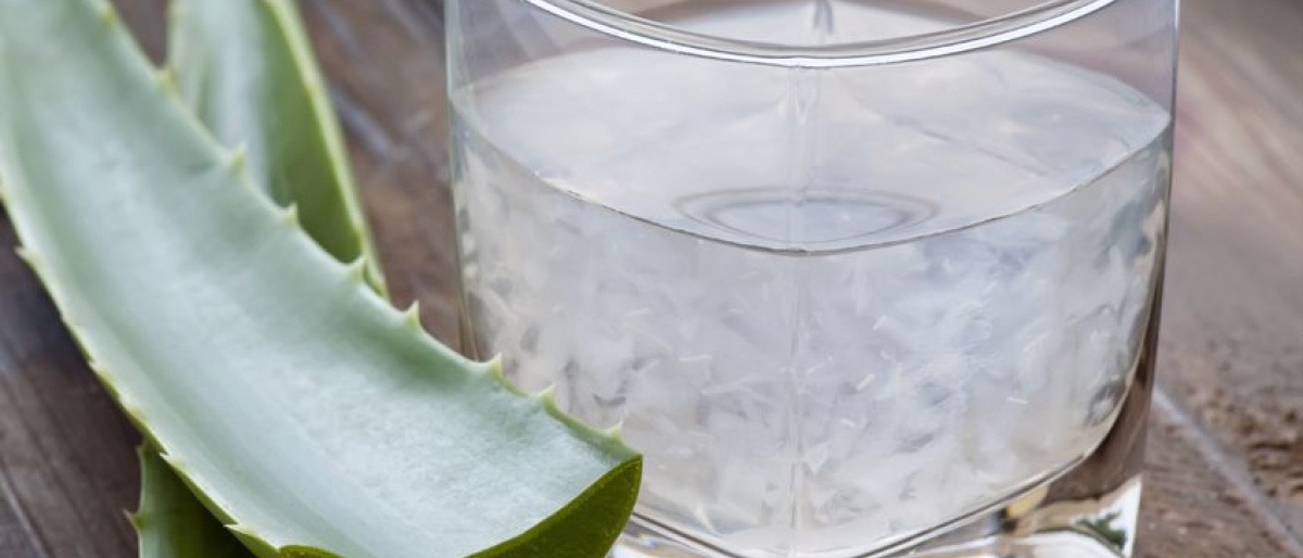 Eine Aloe Vera liegt neben einem Glas mit Aloe Vera Gel