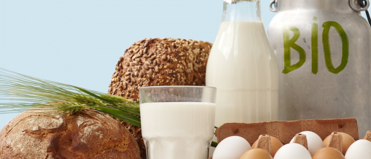 Bio Lebensmittel wie Milch, Eier und Brot stehen nebeneinander