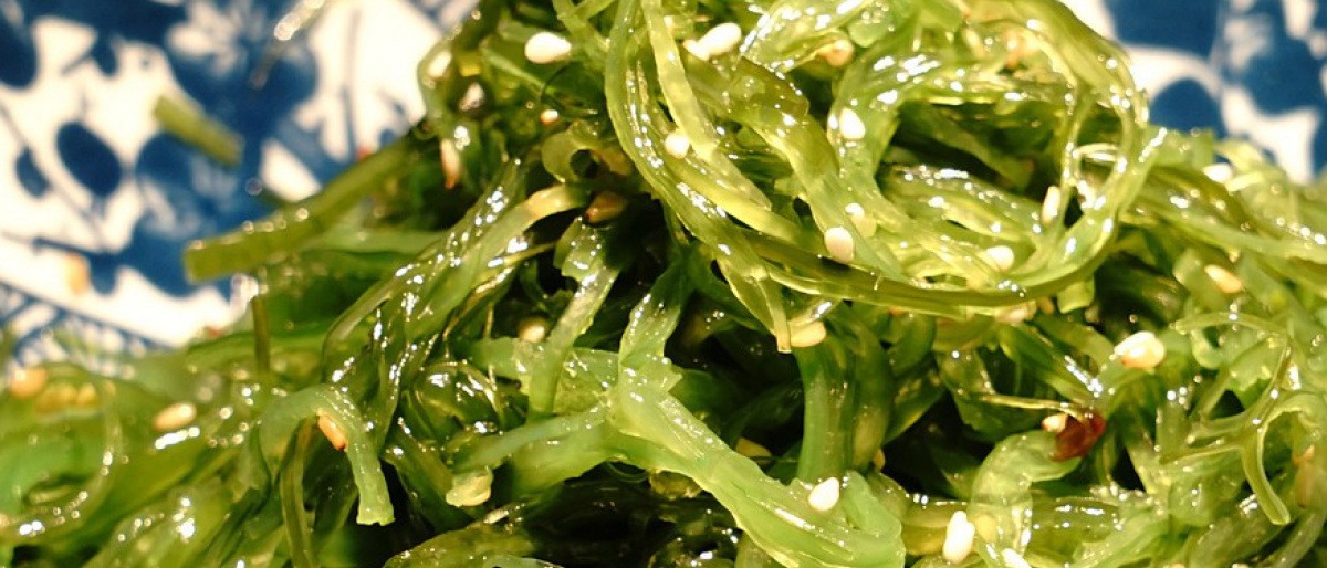 Chlorella Alge zum Entschlacken liegt auf einem Teller