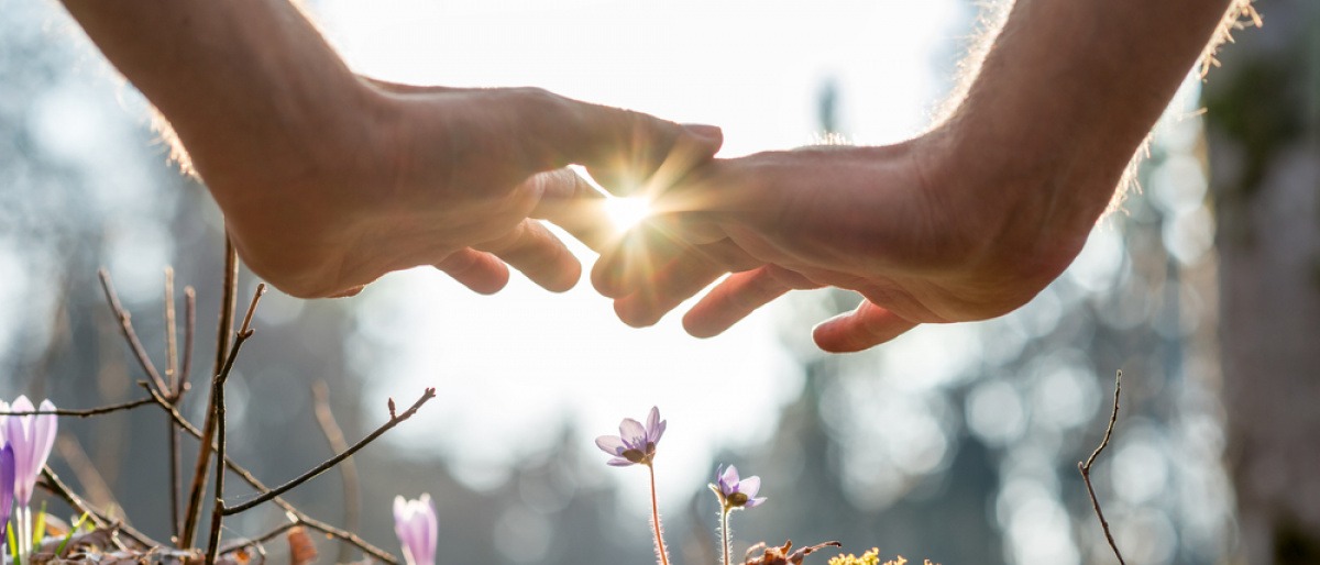 Zwei Hände über ein paar Blumen in der Natur