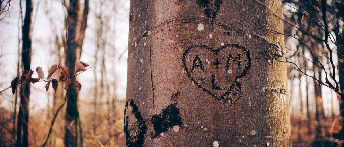 Taten sind zwar ebenfalls wichtig, wenn Liebende die gegenseitige emotionale Bindung stärken wollen. Doch es reicht nicht, einfach ein Herz und zwei Buchstaben in einen Baum zu ritzen, wie in diesem Bild geschehen, um lange glücklich zu bleiben. 