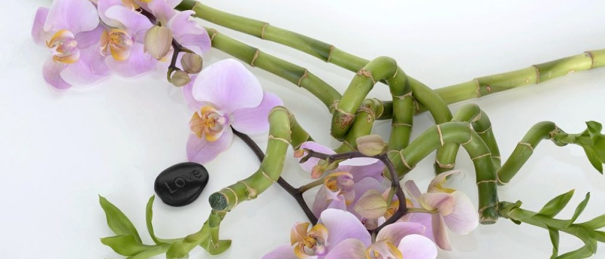 Zwischen schwarzen Steinen mit Aufschrift liegen Orchideen und Bambuszweige