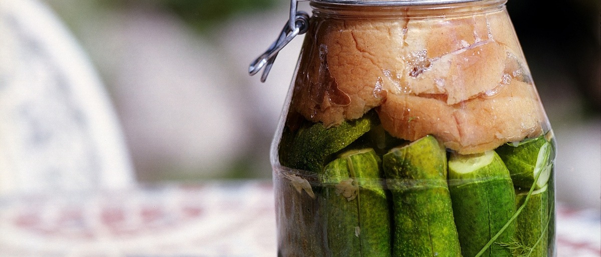 Gurken werden mittels Fermentation in einem Glas haltbar gemacht