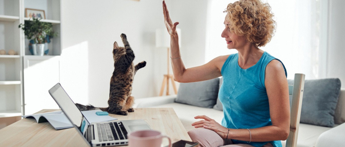 Berufstätige Frau gibt ihrer Katze ein High-Five.