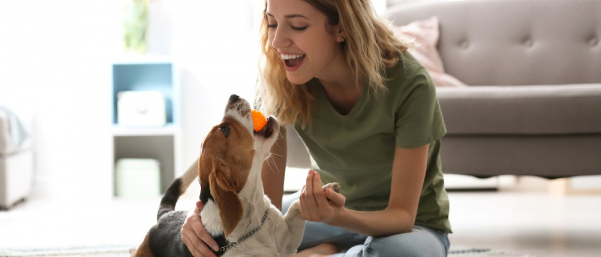 Frau spielt mit einem Hund. 