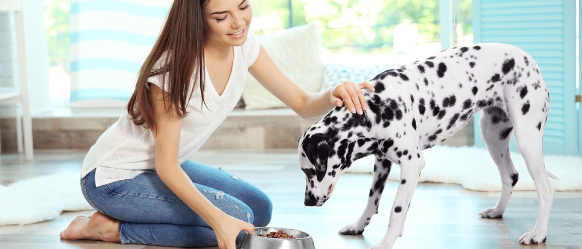 Frau füttert Hund