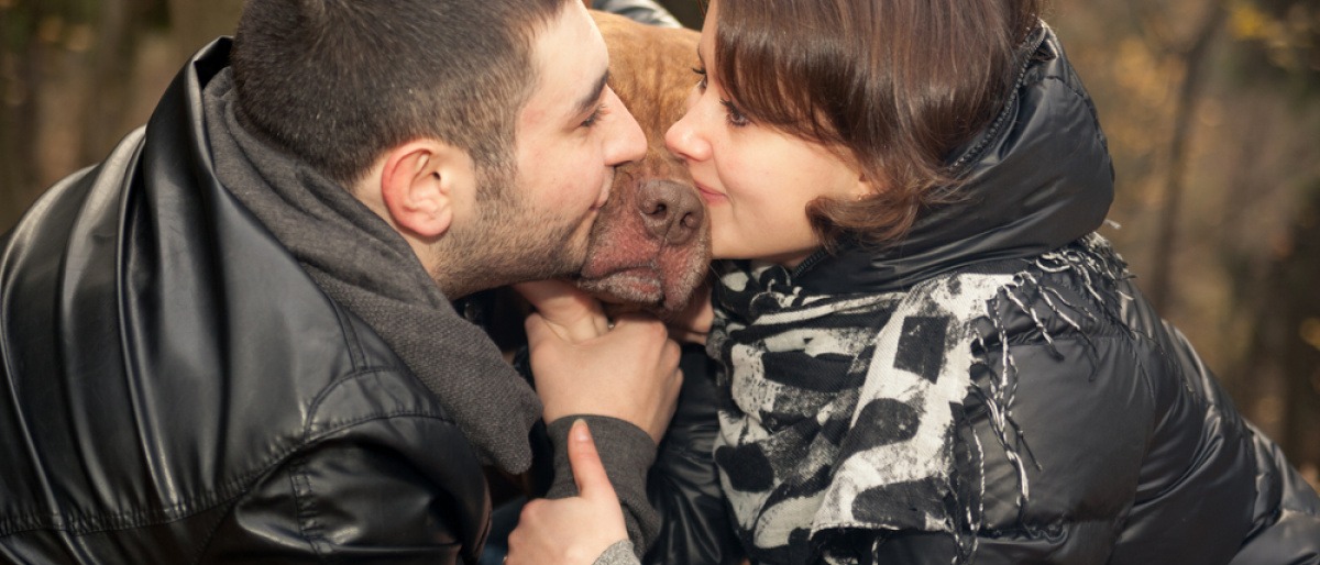 Paar will sich küssen, Hund ist eifersüchtig auf Partner und drängt sich dazwischen