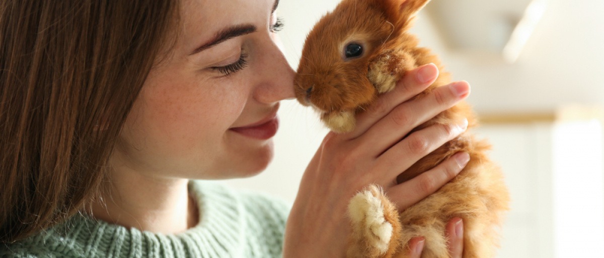 Kaninchen als Haustier - junge Frau hält ein Kaninchen auf dem Arm.