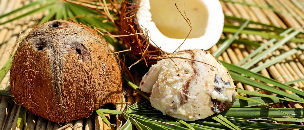 Eine Kokosnuss liegt aufgeschlagen 