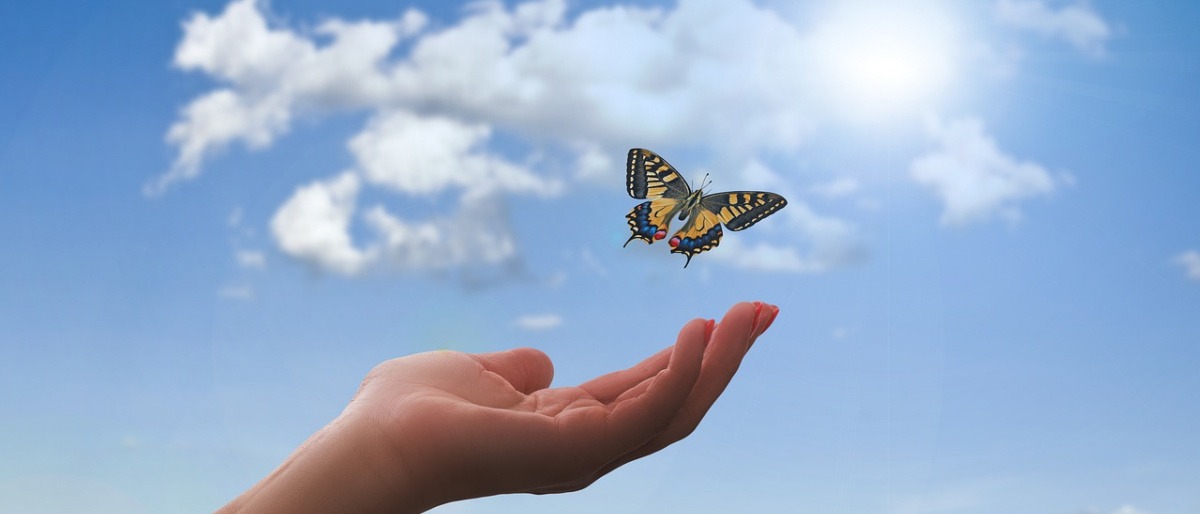 Eine Hand lässt einen Schmetterling los
