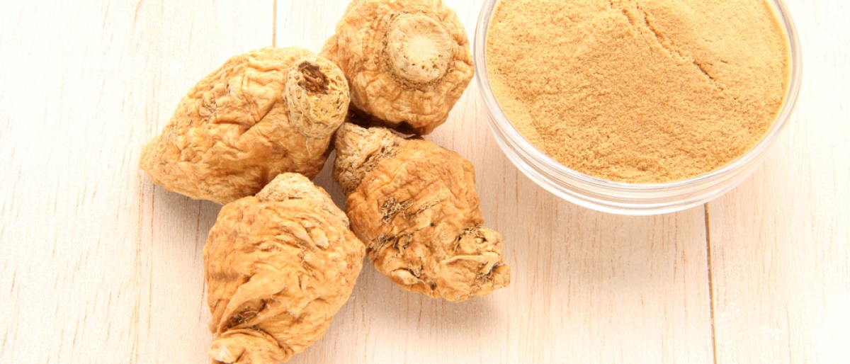 Eine Maca Knolle liegt neben Maca Pulver