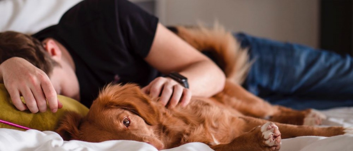 Ein Mann in der Midlife Crisis liegt mit dem Hund im Bett