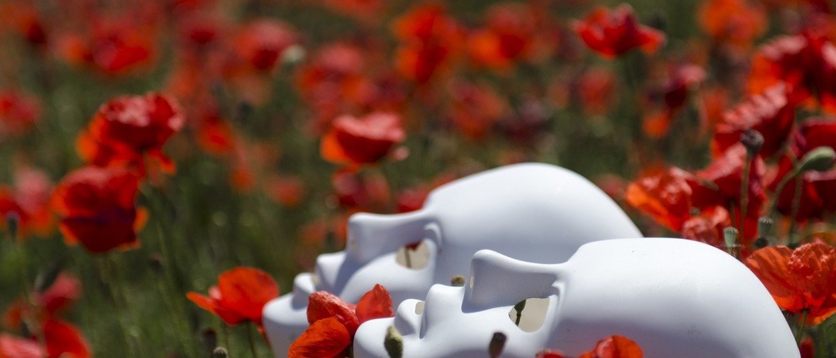 Die Wirkung von Mohn auf die Haut wird mit einer Maske verbildlicht