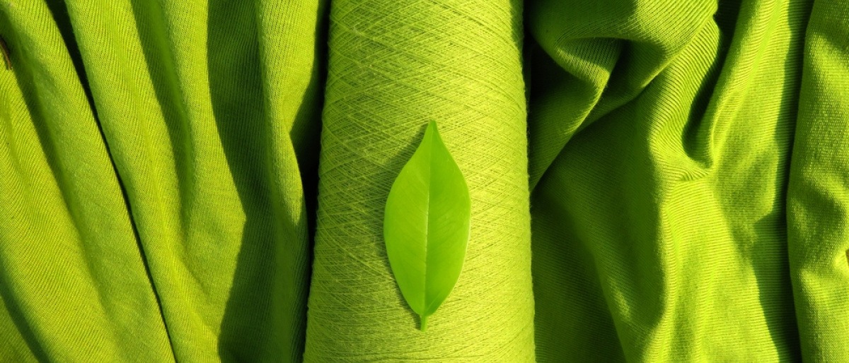 Ein grünes Blatt liegt auf einem grünen Stoff