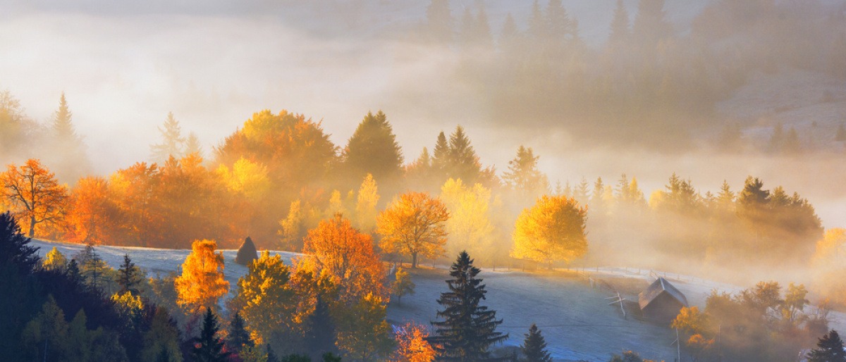 Nebelige Landschaft im November bei Neumond