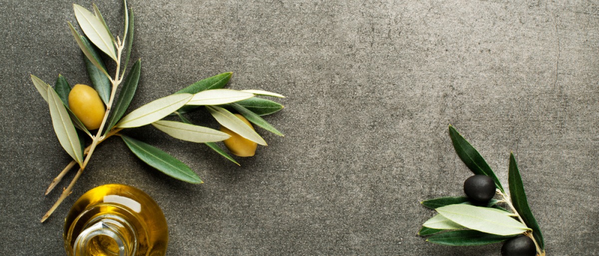 Olivenöl mit Früchten und Zweig auf grauem Hintergrund