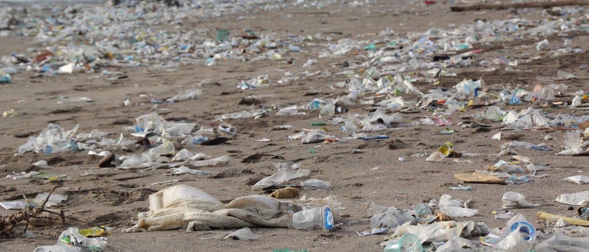 Plastikflaschen liegen als Müll angeschwemmt am Strand