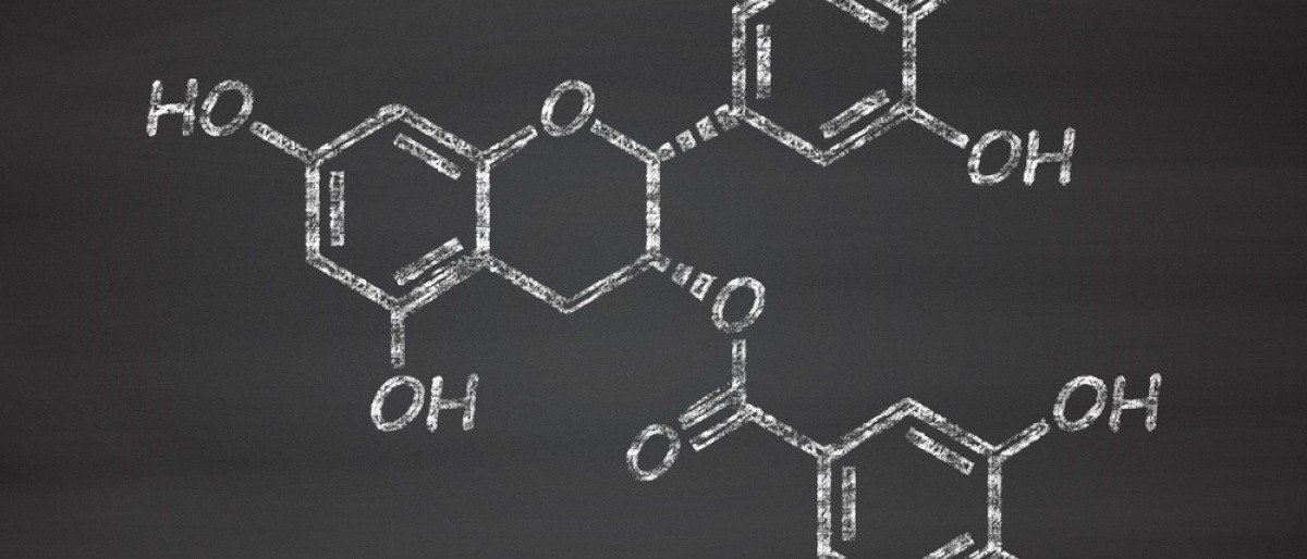 Molekülstruktur von Polyphenol