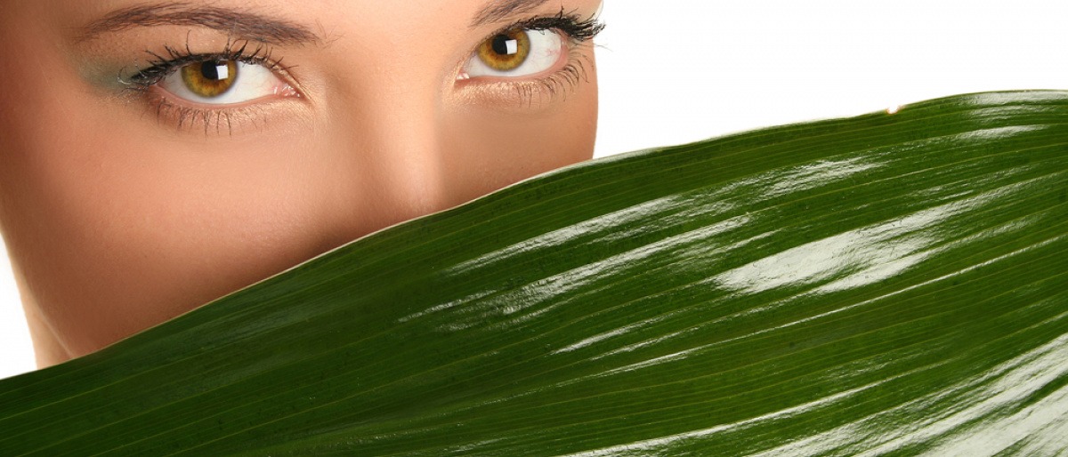 Frau versteckt ihre schöne Haut im Gesicht hinter einem Blatt