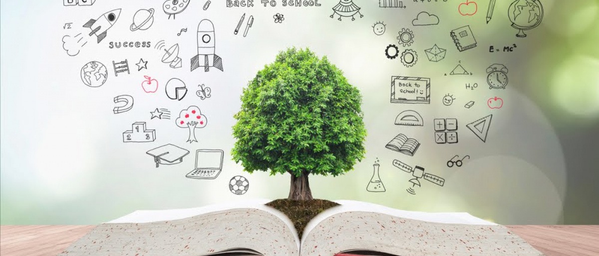 Offenes Buch aus der Mitte heraus wächst ein Baum rund um ihn herum Symbole unseres Alltags